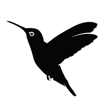 Sinek Kuşu Görüntü Çizim Vektörü