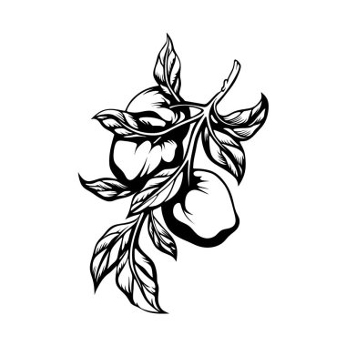 Apple logo tasarımı. Apple logosu siluet vektör çizimi