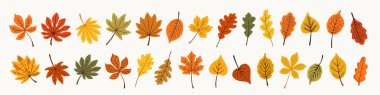 Sonbahar yaprakları, turuncu, sarı, kırmızı ve yeşil tonlarda güzel resimli sonbahar yaprakları oluşturur. Mevsimlik tasarım, posterler, ambalajlar ve tebrik kartları için el yapımı samimi yaprak koleksiyonu.