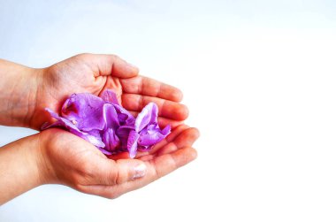orchid flowers in children's palms on a light background