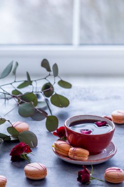 Kavanozda çim fıstığı kahve kafesi tarzı çiçekler masada mavi sandalye arka planda.