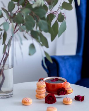 Kavanozda çim fıstığı kahve kafesi tarzı çiçekler masada mavi sandalye arka planda.