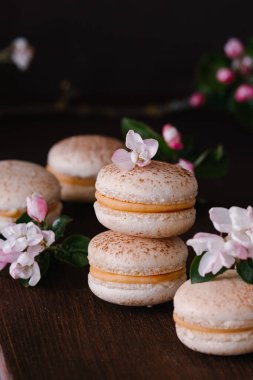 macarons isolat , macarons on a plate . on dark background upside backside  flowers and woman's hands 