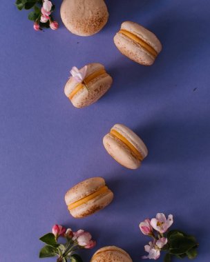 macarons isolat , macarons on a plate . on dark background upside backside  flowers and woman's hands 