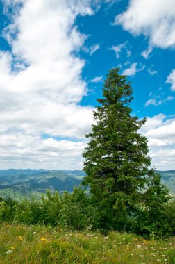 Güzel Dağlar Manzarası 