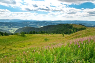 Güzel Dağlar Manzarası
