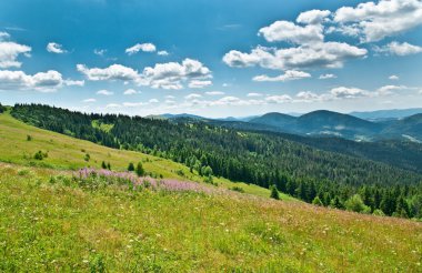 Güzel Dağlar Manzarası