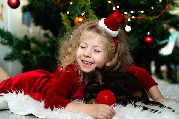 Hermosa niña rubia se encuentra bajo un árbol en un vestido de año nuevo rojo y abraza a un cachorro marrón — Foto de Stock
