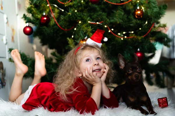 Hermosa niña rubia se encuentra debajo de un cachorro marrón árbol esperando la Navidad, sueños y sonrisas — Foto de Stock
