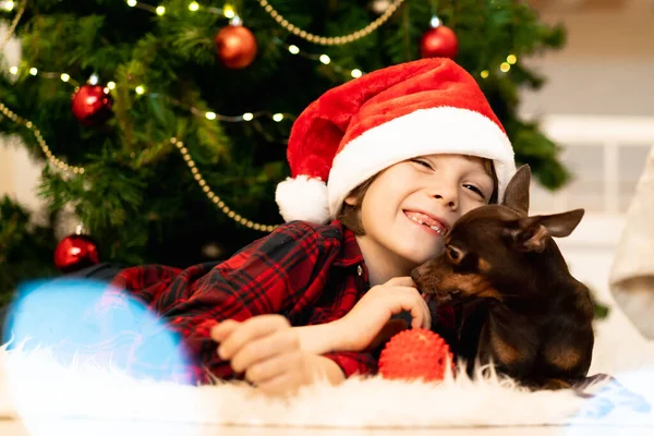 Niño Pequeño Sombrero Santa Claus Con Pequeño Juguete Perro Marrón — Foto de Stock