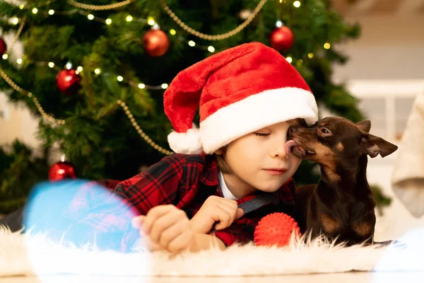 Niño Pequeño Sombrero Santa Claus Con Pequeño Juguete Perro Marrón — Foto de Stock