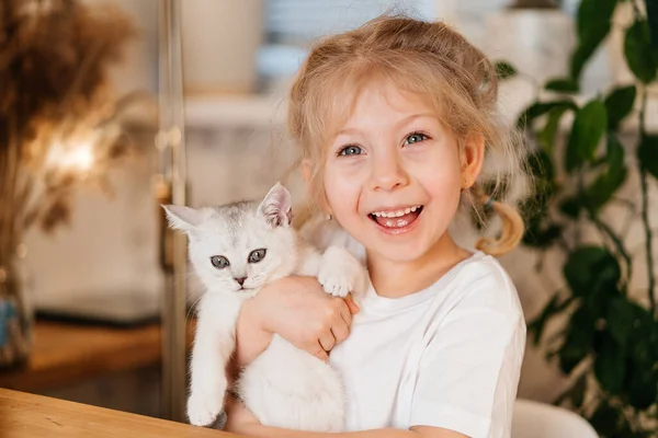Çocuk küçük kediyle oynuyor. Küçük bir kız beyaz bir kedi yavrusu tutuyor. Küçük bir kız sevimli bir evcil hayvana sarılıp evin oturma odasında otururken gülümsüyor. Mutlu çocuklar ve evcil hayvanlar.