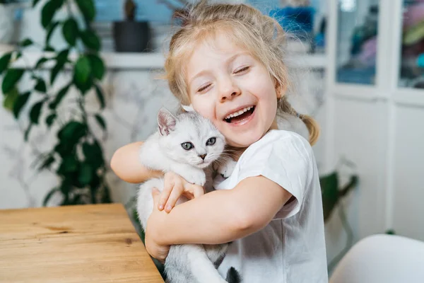 Çocuk küçük kediyle oynuyor. Küçük bir kız beyaz bir kedi yavrusu tutuyor. Küçük bir kız sevimli bir evcil hayvana sarılıp evin oturma odasında otururken gülümsüyor. Mutlu çocuklar ve evcil hayvanlar.