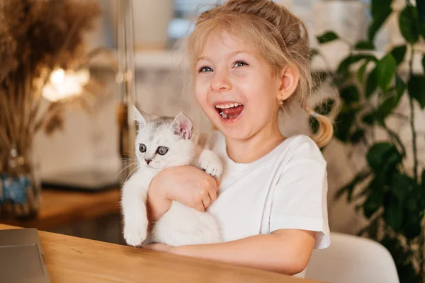 Criança brincando com gatinho. Uma menina tem um gatinho branco. Uma menina aconchega-se a um animal de estimação bonito e sorri enquanto está sentado na sala de estar da casa. Crianças e animais de estimação felizes. — Fotografia de Stock