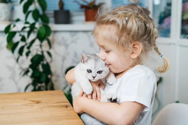 Criança brincando com gatinho. Uma menina tem um gatinho branco. Uma menina aconchega-se a um animal de estimação bonito e sorri enquanto está sentado na sala de estar da casa. Crianças e animais de estimação felizes. — Fotografia de Stock