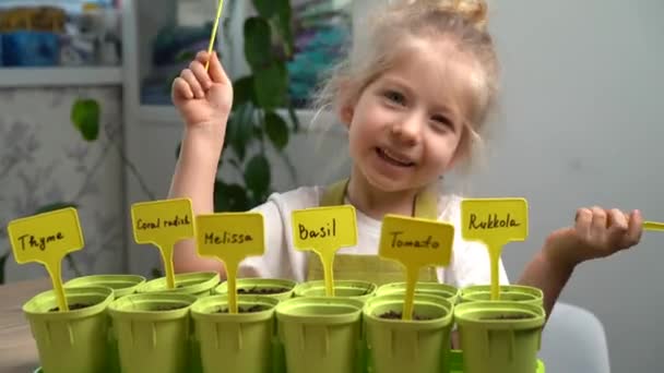 Uma Pequena Menina Loira Avental Sorri Está Envolvida Plantio Sementes — Vídeo de Stock