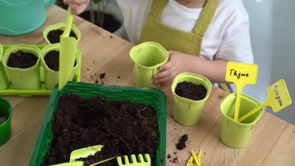 Una Bambina Bionda Impegnata Piantare Semi Piantine Versando Terra Vasi — Video Stock