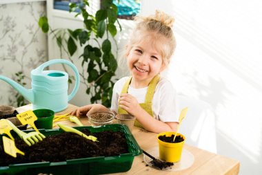 Önlüklü küçük sarışın bir kız fidanlar için tohum ekmekle meşgul. Gülümsüyor, kameraya bakıyor. Çocuk bahçesi kavramı..