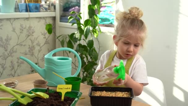 Een Klein Blond Meisje Een Schort Bezig Met Het Planten — Stockvideo