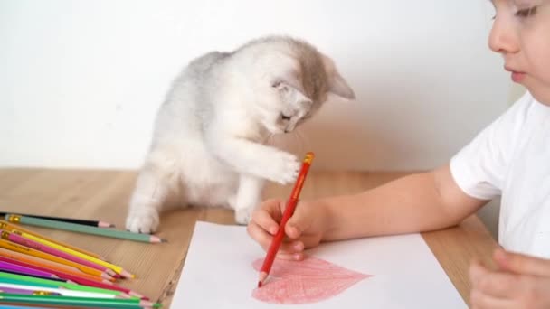 Küçük Sarışın Bir Kız Renkli Kalemlerle Kalp Çiziyor Yanında Beyaz — Stok video