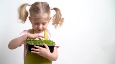Küçük sarışın bir kız ellerinde bir mikro yeşillik tohumu tutuyor ve filizleri inceliyor. Bahçe işleri ve ekme konsepti