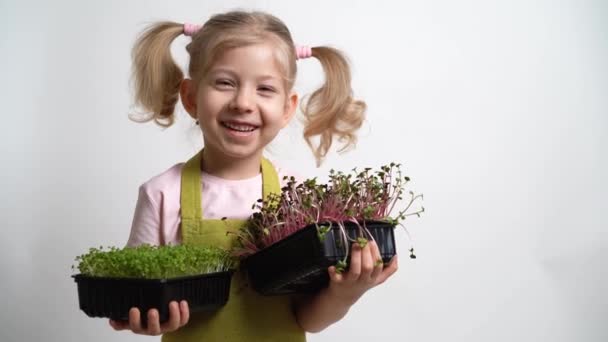 Uma Menina Loira Pequena Sorri Segura Uma Plântula Micro Verdes — Vídeo de Stock