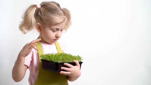 Liten Blond Flicka Och Håller Fröplanta Mikrogröna Händerna Och Undersöker — Stockvideo