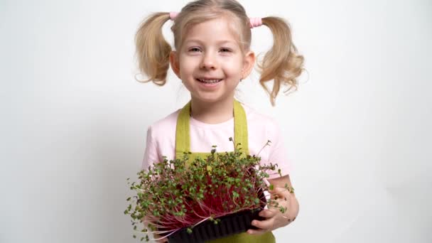 小さなブロンドの女の子は笑顔で 彼女の手にマイクログリーンの苗を持っています 園芸と植栽のコンセプト — ストック動画