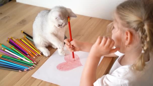 Una piccola ragazza bionda sta disegnando un cuore con matite colorate, e un gattino scozzese bianco è seduto accanto a lei e gioca con una matita — Video Stock