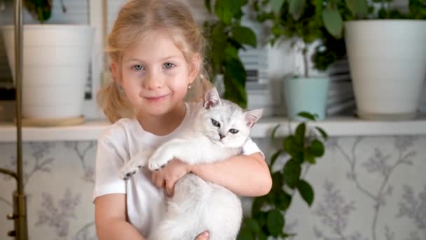 Une petite fille tient et embrasse un petit chaton blanc — Video