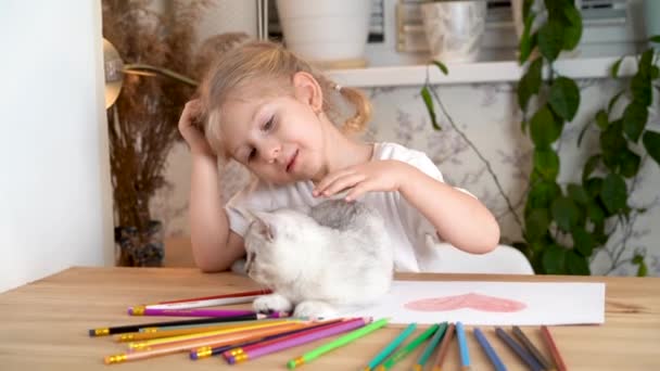 A little girl is stroking a white kitten that is playing with colored pencils on a wooden table — Stock Video