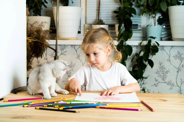 Little Blonde Girl Sits Table Teaches White Scottish Kitten Colored — Stock Photo, Image