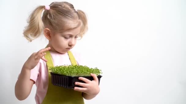 Маленькая блондинка держит в руках саженцы микрозелени и исследует капусту. садоводство и посадка — стоковое видео