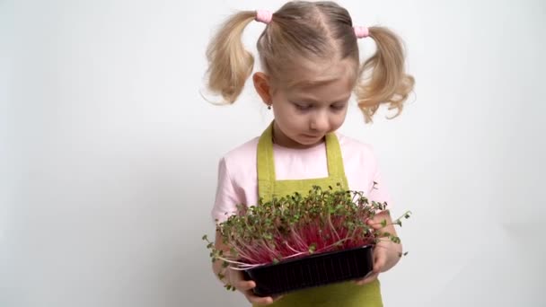 Una piccola ragazza bionda sorride e tiene in mano una piantina di micro verdi. giardinaggio e piantagione concetto — Video Stock