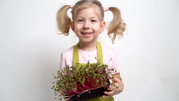 Маленька блондинка посміхається і тримає в руках розсаду мікрозелені. концепція садівництва і посадки — стокове відео