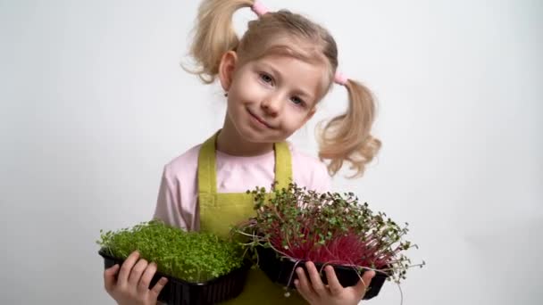Una piccola ragazza bionda sorride e tiene in mano una piantina di micro verdi. giardinaggio e piantagione concetto — Video Stock