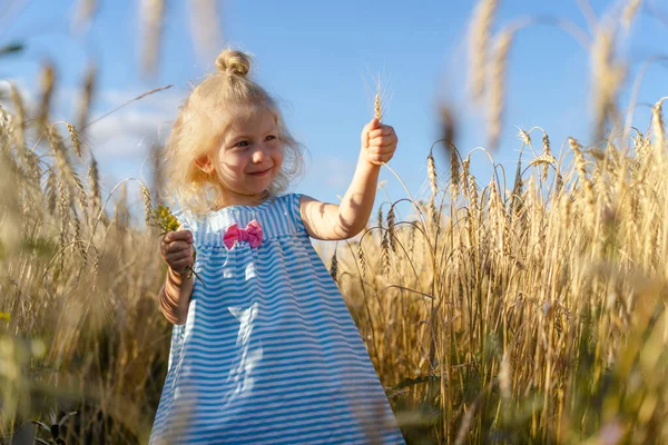 Маленькая блондинка на ржаном поле, счастливый ребенок — стоковое фото