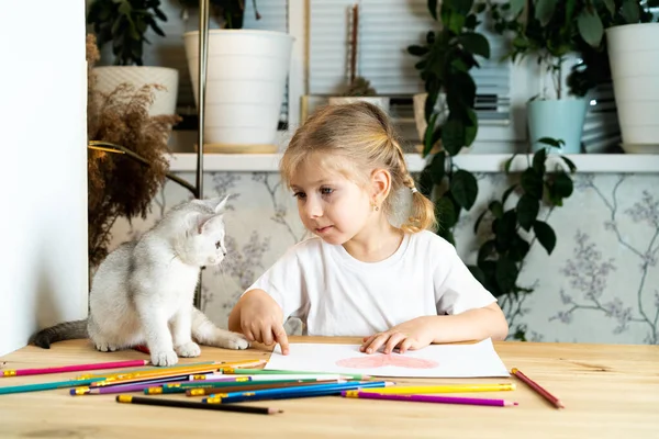 Ένα μικρό ξανθό κορίτσι κάθεται σε ένα τραπέζι και διδάσκει ένα λευκό σκωτσέζικο γατάκι, χρωματιστά μολύβια και μια ζωγραφιά μιας καρδιάς στο τραπέζι.Την έννοια της αγάπης για τα ζώα — Φωτογραφία Αρχείου