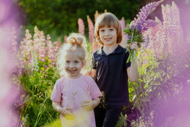 Çiçekli bir tarlada erkek ve kız kardeş lupinli, yazın mutlu çocuklar doğada gülümseyin..