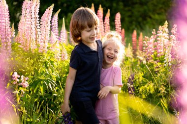 Çiçekli bir tarlada erkek ve kız kardeş lupinli, yazın mutlu çocuklar doğada gülümseyin..