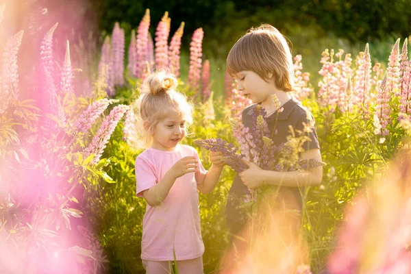 Fratello Sorella Campo Con Fiori Lupini Bambini Felici Estate Nella — Foto Stock