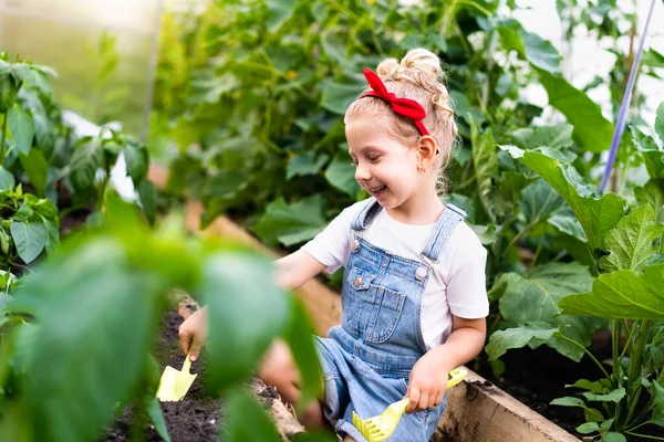 Mała blondynka w szklarni z łopatką i grabie dba o rośliny, koncepcja ogrodnictwa — Zdjęcie stockowe