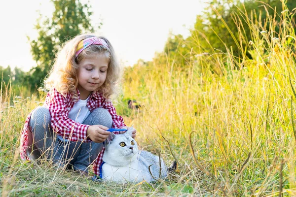 Uma Menina Loira Caminhando Gato Branco Raça Pura Uma Trela — Fotografia de Stock