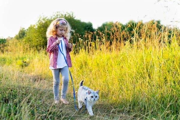 Uma Menina Loira Caminhando Gato Branco Raça Pura Uma Trela — Fotografia de Stock