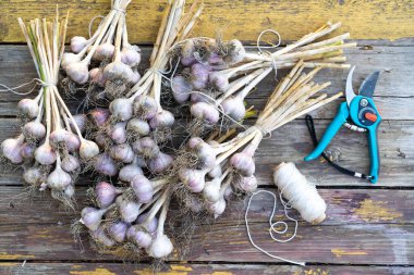 Vintage ciltli adam yakın plan, ahşap arka plan.