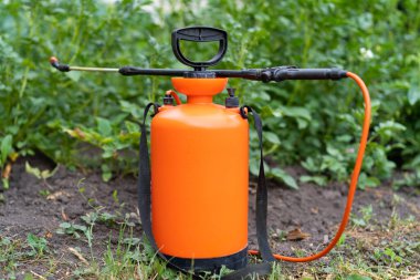 Haşerelerden, solucanlardan ve Colorado patates böceğinden patateslerin tedavisi, spreyle ekin koruması.