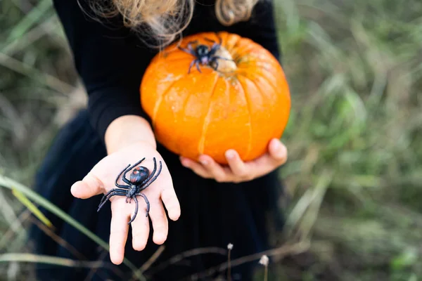 Oranje Herfstpompoen Kinderhanden Met Spinnen Decor Voor Halloween Vakantie — Stockfoto