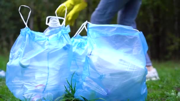 Genç bir gönüllü kadın doğadaki çöpleri temizliyor. Ormanda atıklarla dolu şişeleri plastik torbalara koyuyorlar. — Stok video