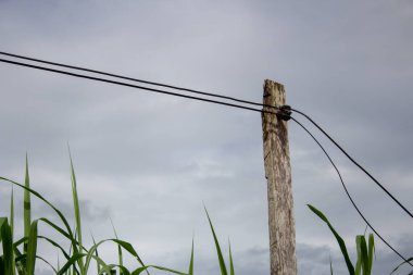Tahta kablo direği bir çiftliğe elektrik iletiyor.