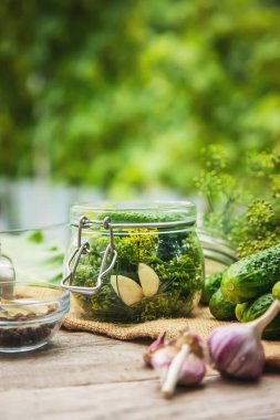 Taze salatalıkların korunması. Seçici odaklanma. Doğa